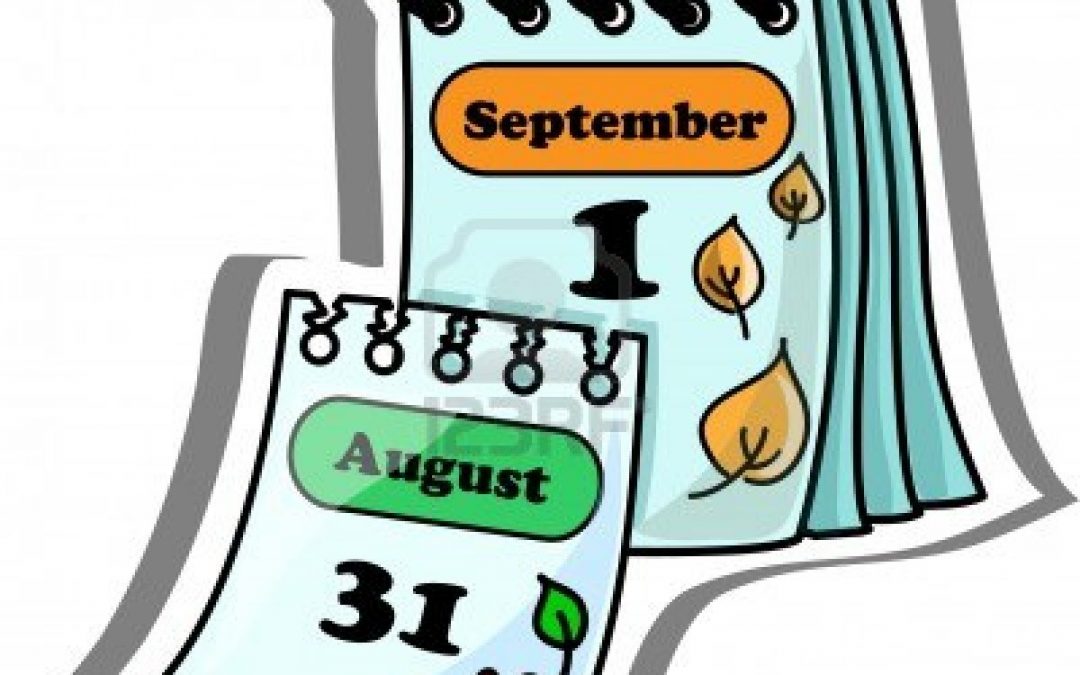 Plazos administrativos, judiciales y en contratos privados. Diferencias.