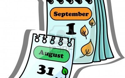 Plazos administrativos, judiciales y en contratos privados. Diferencias.